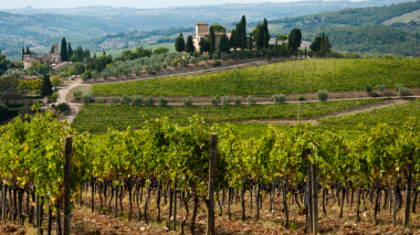 VANG Ý ĐỎ Fossifòco Chianti Classico Riserva DOCG
