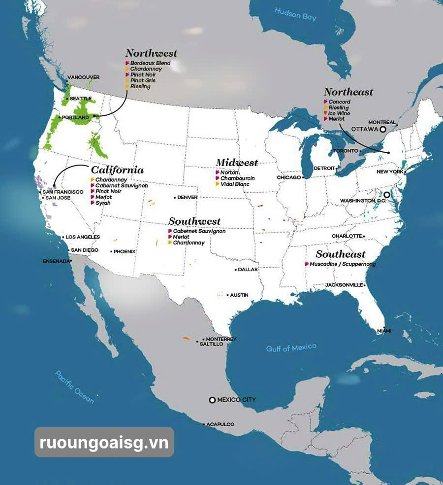 RƯỢU NGOẠI SÀI GÒN