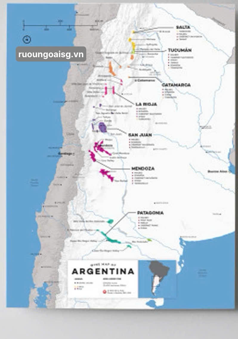 RƯỢU NGOẠI SÀI GÒN