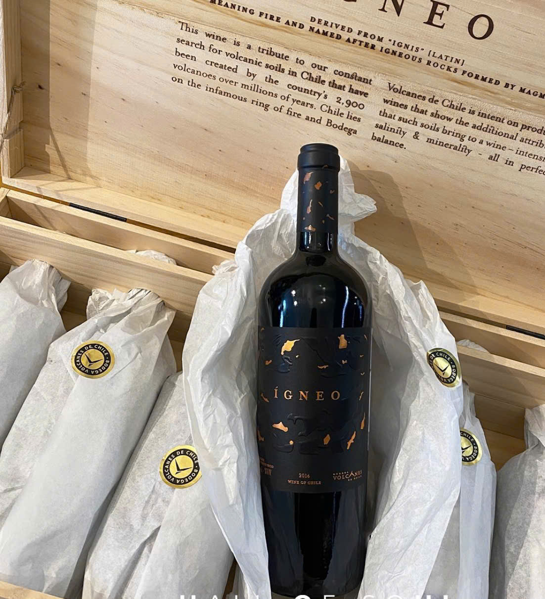 VANG Chile Volcanes IGNEO