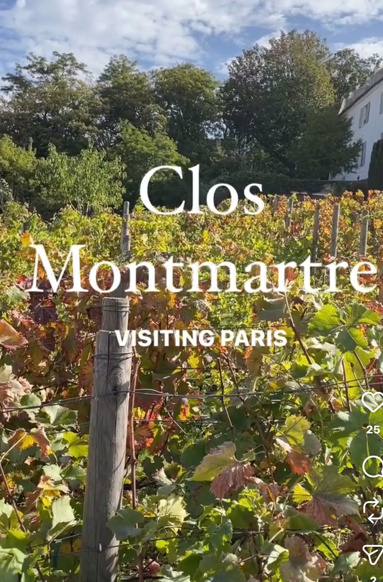 Vườn Nho Clos Montmartre: Di Sản Xanh Giữa Lòng Paris Và Bữa Tiệc Văn Hóa Bất Tận
