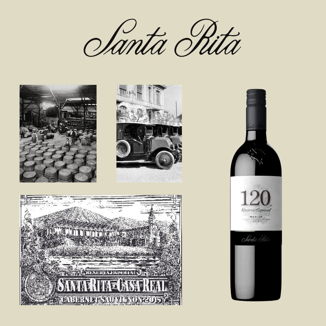 RƯỢU VANG SANTA RITA 120 RESERVA ESPECIAL CABERNET SAUVIGNON